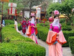 -白家大院·王府宫廷菜(苏州街店)