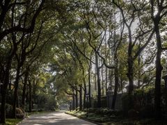 -棕榈岛海鲜自助餐厅(虹桥迎宾馆店)