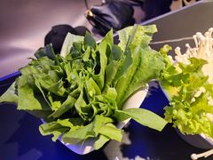 -额尔敦传统涮(公园西路店)