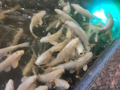 -家饰佳(宜山路店)