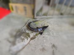 寻龙鱼-渔文乐农庄