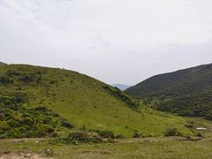 -大姆山草场