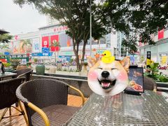 -小嘟来烘焙店