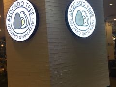 -油梨树 AVOCADO TREE(亮马桥店)