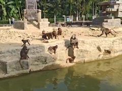 -东莞香市动物园