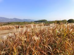 -良渚古城遗址公园
