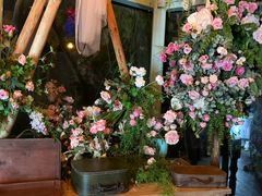 -正佳雨林生态植物园