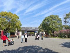 -上海海湾国家森林公园