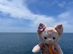 -四季民福烤鸭店(通州马驹桥店)