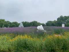 -梁鸿国家湿地公园