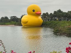 -深圳人才公园