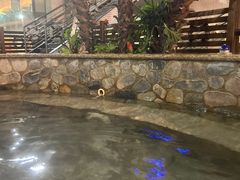 -南宫温泉水世界