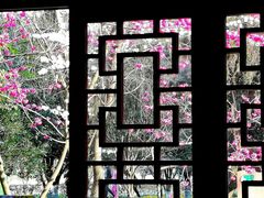 -花溪公园