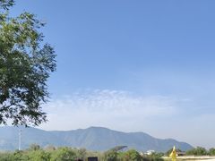 -秦始皇帝陵博物院-丽山园