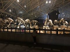 -世界恐龙谷景区