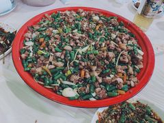 -东吴霸王兔(松青路店)