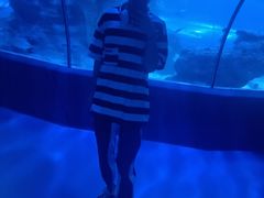 -左海海底世界