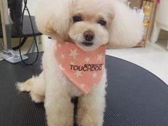 -多卡布奇宠物生活馆(上林世家店)