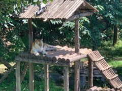 -济南野生动物世界