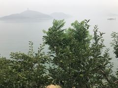 -望湖烤鱼