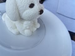 -时光吧·大堂吧·丽江和府洲际度假酒店