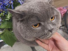 -八公叔叔宠物美容连锁(春申店)