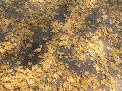 -辽东学院(南校区)