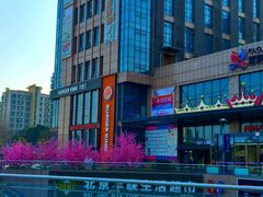 -紫荆广场·花漫里