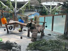 -青藏高原野生动物园