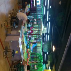 android_upload_pic-卡通尼·Safari非洲探索乐园·生日会(金桥国际商业广场店)