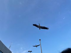 -深圳野生动物园