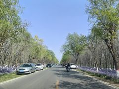 -君乐宝优致牧场