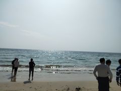 -玫瑰海岸文化旅游度假区