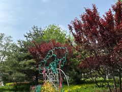 -南宫五洲植物乐园