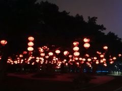 -万绿园