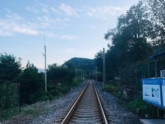 -阳台山自然风景区