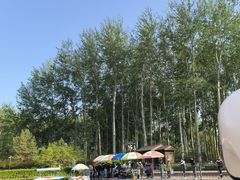 -仁和公园(顺义区)