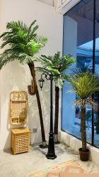 -好看加白色房子