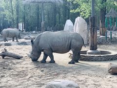 -北京野生动物园