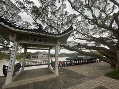 -江心屿景区