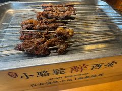 -福苗小骆驼烧烤(莲湖路店)