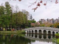 -四海公园(南山区)