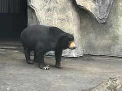 -南昌动物园