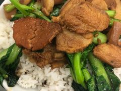 -百家缘(东门南路店)