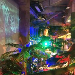 -恐龙探索乐园(磁器口店)