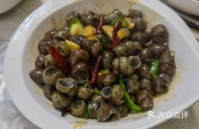 Jiangsu Freshwater Snail