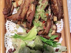 烤羊排-丰收日(五角场店)