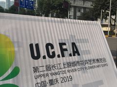 -重庆市江北嘴中央商务区中央公园