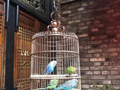 -鱼桥巷·美学川菜