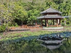 -海南热带雨林国家公园吊罗山景区